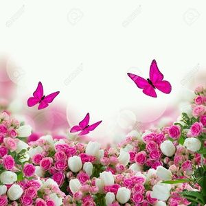 Meet your Posher, Butterfly Closet